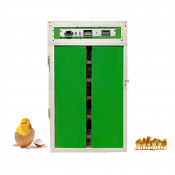 Couveuse automatique à gaz de capacité 200 oeufs