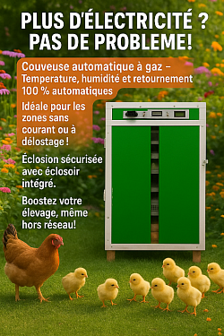 Caractéristiques couveuse automatique à gaz