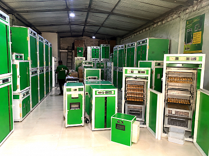 Stock couveuse