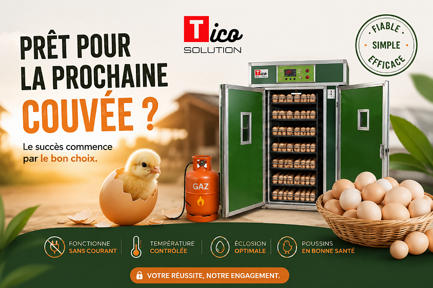 tico solutions