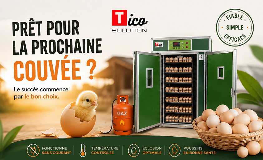tico solutions