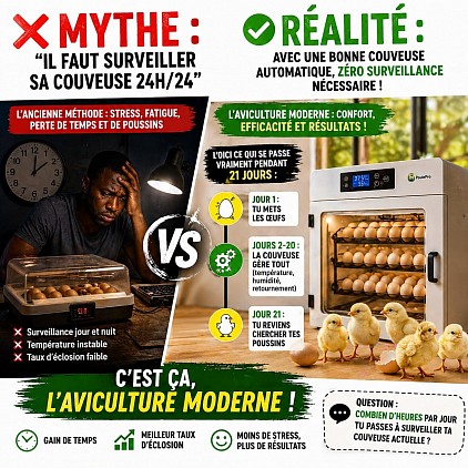 couveuse automatique